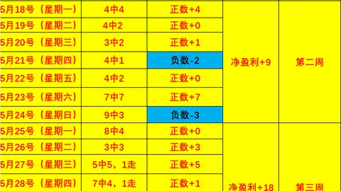梦想与神秘人：深度解读指南